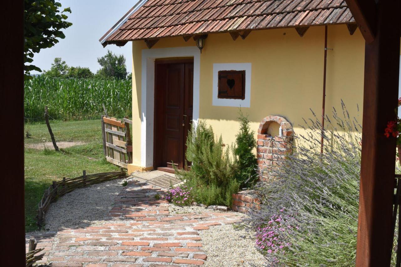 Country House Ivancan Molve エクステリア 写真