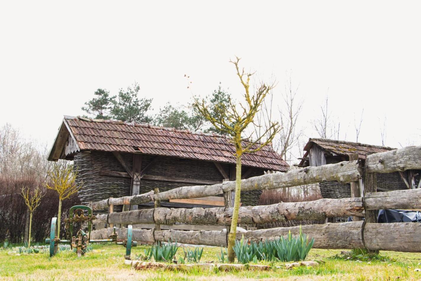 Country House Ivancan Molve エクステリア 写真