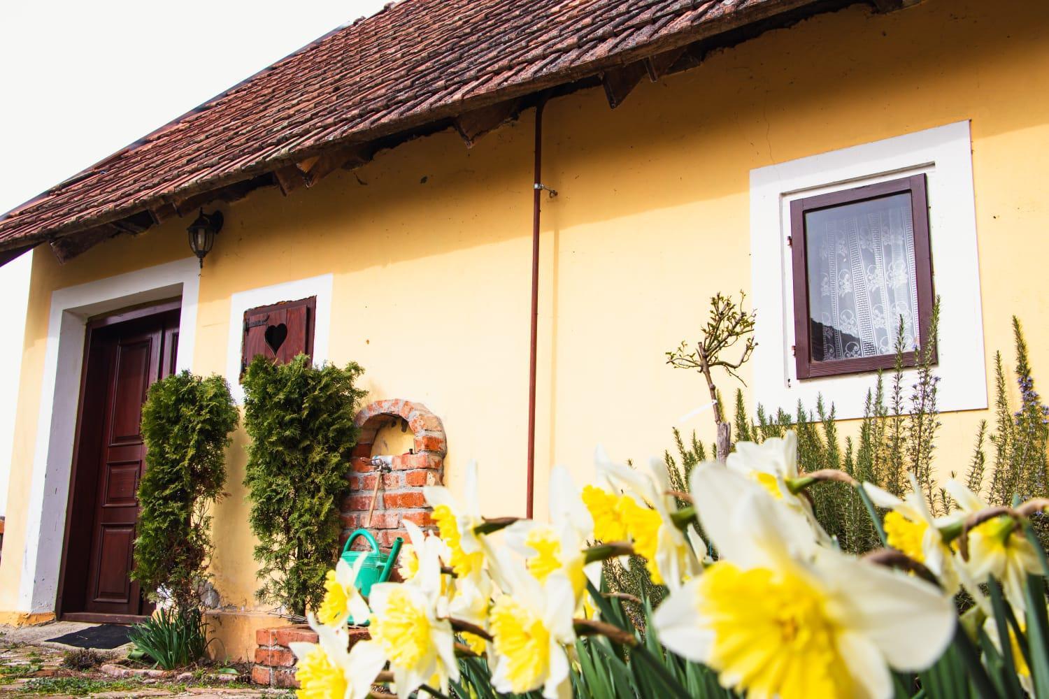 Country House Ivancan Molve エクステリア 写真