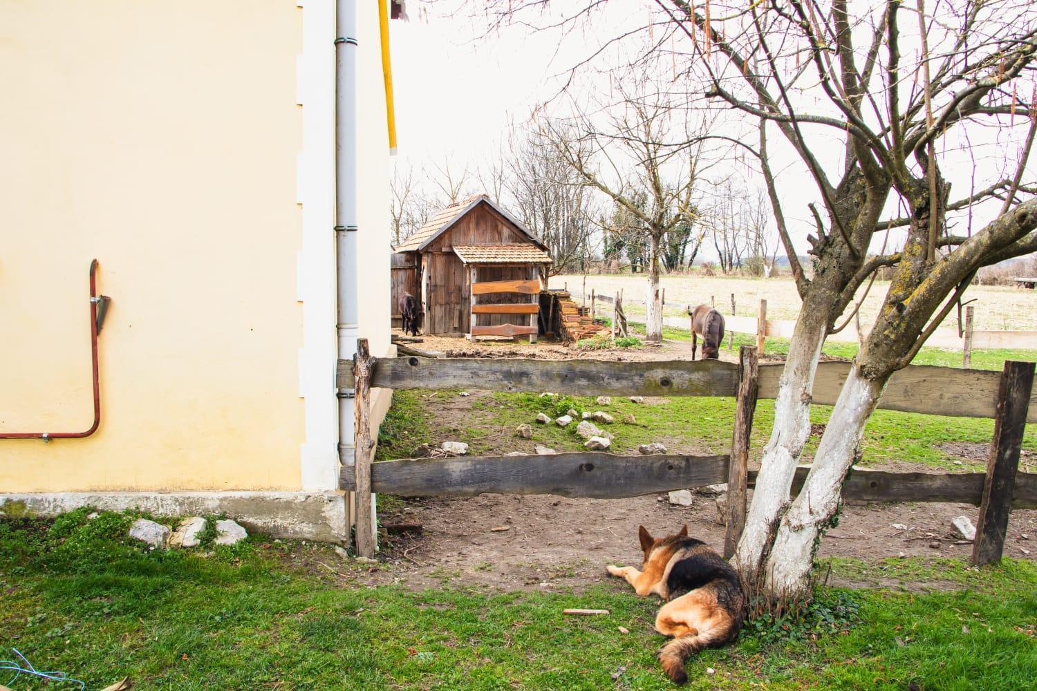 Country House Ivancan Molve エクステリア 写真